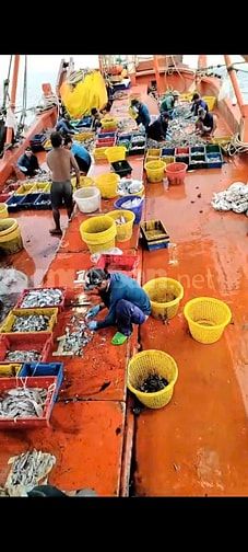 Tuyển dụng 4 lao động phổ thông - ngư phủ đi biển tại Phú Quốc, Kiên G