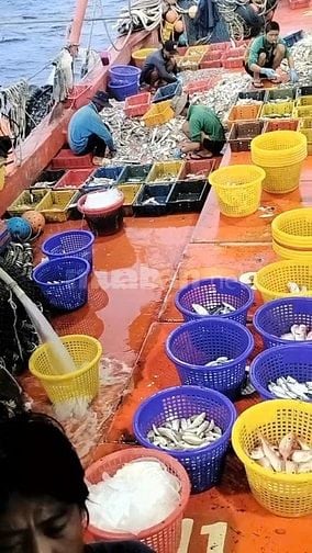Tuyển dụng 4 lao động phổ thông - ngư phủ đi biển tại Phú Quốc, Kiên G
