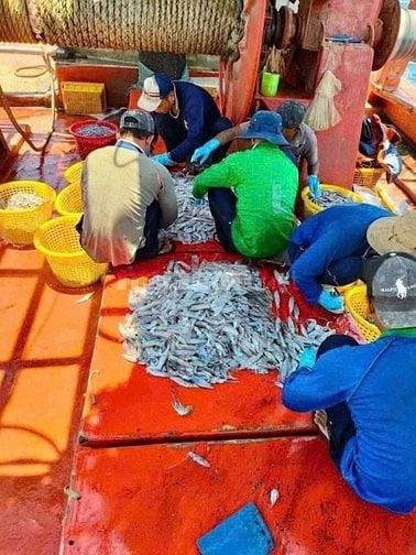 Tuyển dụng 4 lao động phổ thông - ngư phủ đi biển tại Phú Quốc, Kiên G