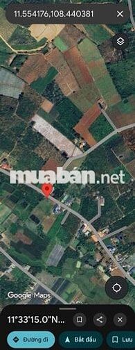 Đất xã Tà Năng, Đức Trọng tiềm năng lớn, rõ ràng, ổn định, đầu tư tốt
