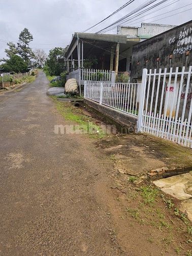 CHỈ CẦN 2,8 TỶ MUA ĐƯỢC CĂN NHÀ 511M NGAY TRUNG TÂM TP BẢO LỘC