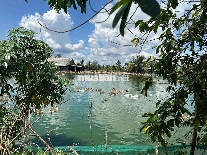 Chính chủ cần bán gấp đất mặt tiền Nguyễn Kim Công đường 5m