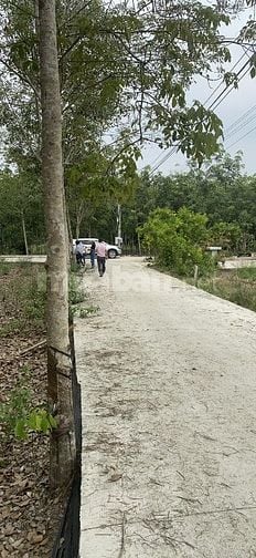 Bán đất xây biệt thự nhà vườn Lai Uyên 11