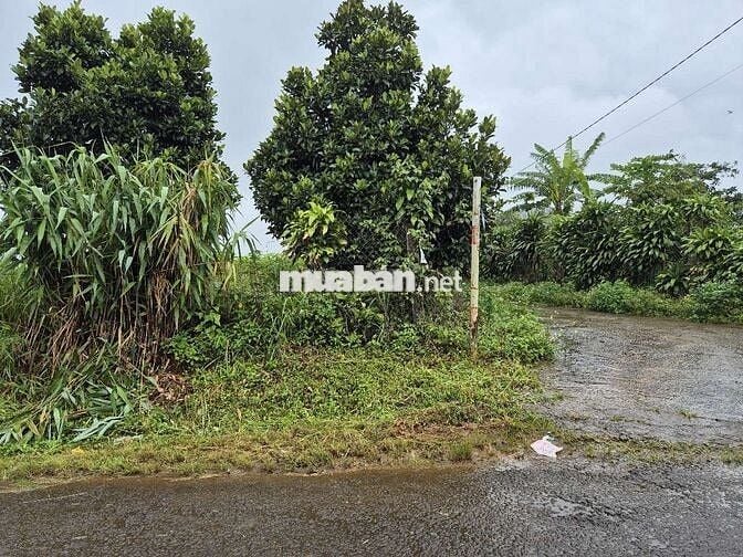 Giảm mạnh lô góc 2 mặt tiền Trần Nhật Duật _ Phường 2