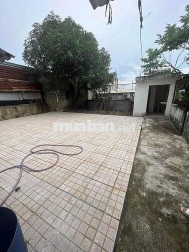 Cho thuê xưởng Mt đường chính,sẵn điện 3F ,Trung tâm P.Trảng Dài