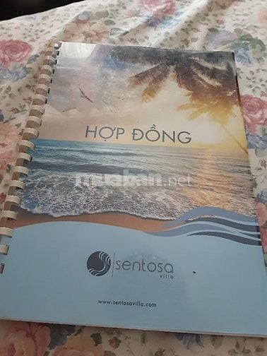 Xuất cảnh cần bán nền biệt thự view biển Mũi Né
