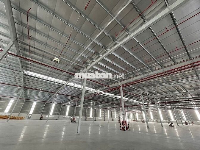 Cho Thuê Xưởng 2000m²KCN Đức Hòa,PCCC Tự Động ,Chỉ 3,5 USD/m²