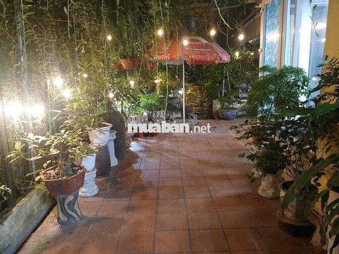 Bán Căn Hộ Chung Cư - Diện Tích Sử Dụng 450m2 - Cafe Sân Vườn - 3PN