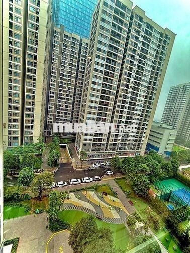 Chính chủ cho thuê căn studio 30m2 Toà 2S2.17 Vinhomes ocean park