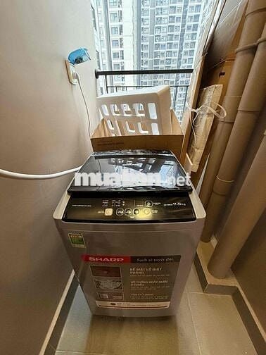 Chính chủ cho thuê căn studio 30m2 Toà 2S2.17 Vinhomes ocean park
