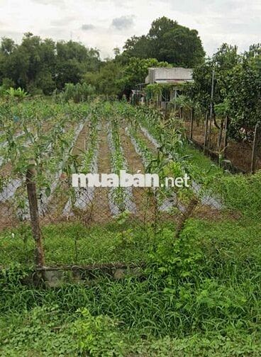 LÔ ĐẤT TỈNH LỘ 2 NGÂN HÀNG HỖ TRỢ 70%