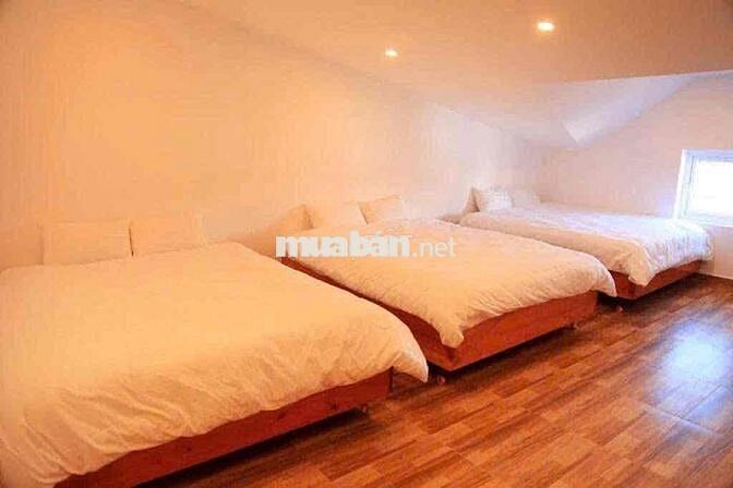 🏨 Cho thuê khách sạn – đường Nguyễn Thị Nghĩa, Đà Lạt 💰 Giá: 30 triệu/