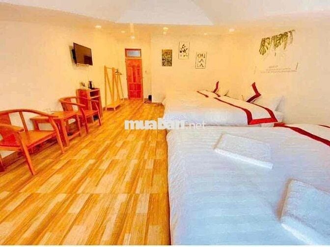 🏨 Cho thuê khách sạn – đường Nguyễn Thị Nghĩa, Đà Lạt 💰 Giá: 30 triệu/