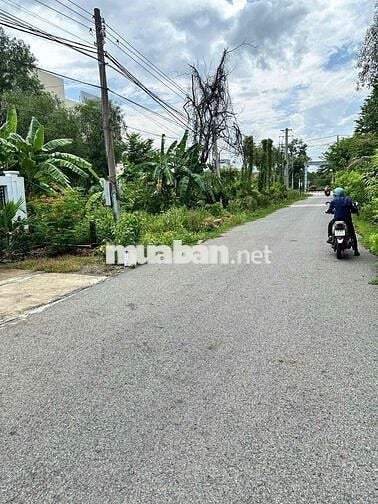 chính chủ ngộp ngân hàng bán gấp mãnh đất làm vườn