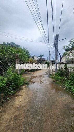 lô đất nông nghiệp, phường đô vinh, 352m2 giá 1ty050 triệu, lên thổ
