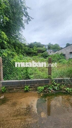 lô đất nông nghiệp, phường đô vinh, 352m2 giá 1ty050 triệu, lên thổ