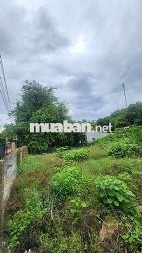 lô đất nông nghiệp, phường đô vinh, 352m2 giá 1ty050 triệu, lên thổ