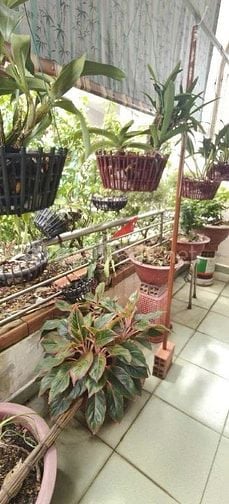 Hẻm Chỉ Một Nhà, Lê Văn Lương, 02 Tầng, DT 4,4x24m