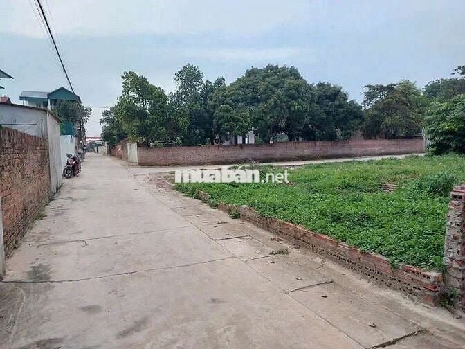 2. 1x tỷ Lô 2 mặt tiền Sóc Sơn Thắng Trí kim Anh full thổ cư đẹp hiếm