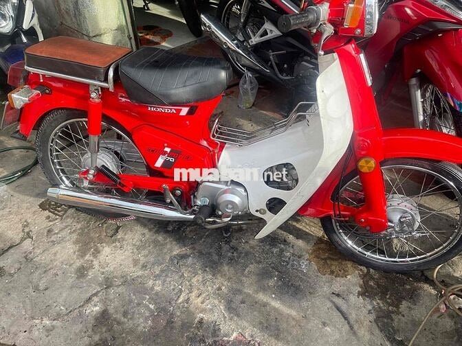 cup dd 70