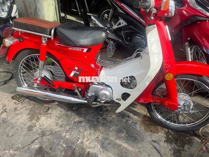 cup dd 70