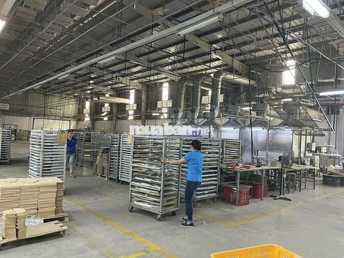 Cho thuê kho xưởng nhuộm 6.000m2, KCN Đức Hòa , Long An, PCCC tự động