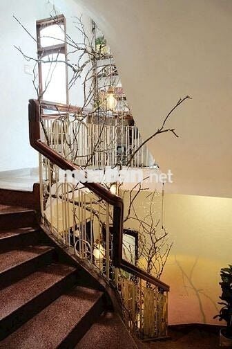 CHO THUÊ BIỆT THỰ ĐƯỜNG HOA LAN,Q PHÚ NHUẬN,DTSD LỚN,NGANG 10M,GIÁ TỐT