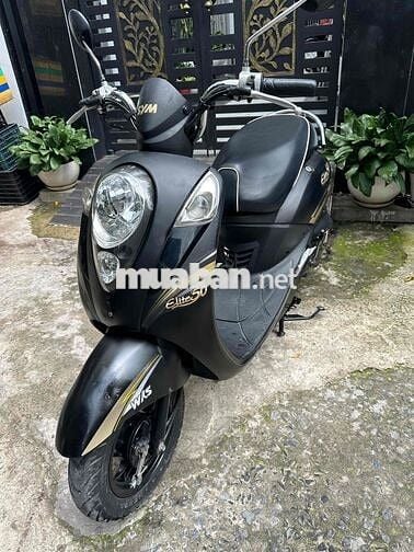 sym Elite 50cc bstp ko cần bằng lái