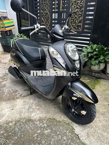 sym Elite 50cc bstp ko cần bằng lái