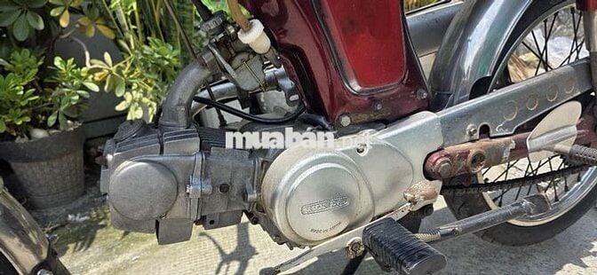 CL 50cc