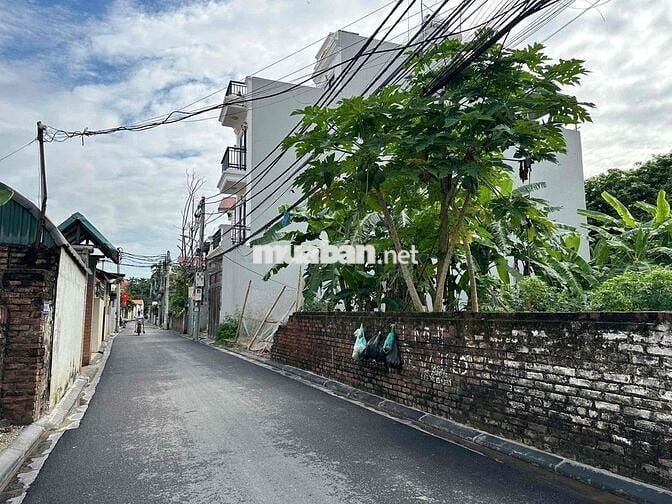 CHỦ CẦN BÁN GẤP –NHÔ 2TY 45M FULL THỔ CƯ  – GIÁ SIÊU TỐT - ĐÓN ĐẦU DỰ