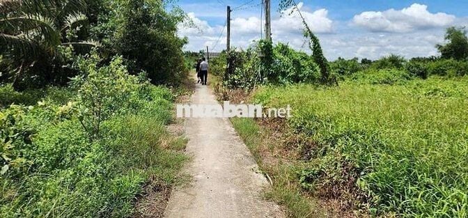 Bán đất Thổ Cư 125m2 Thanh Phú Long Long An