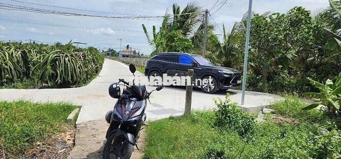 Bán đất Thổ Cư 125m2 Thanh Phú Long Long An