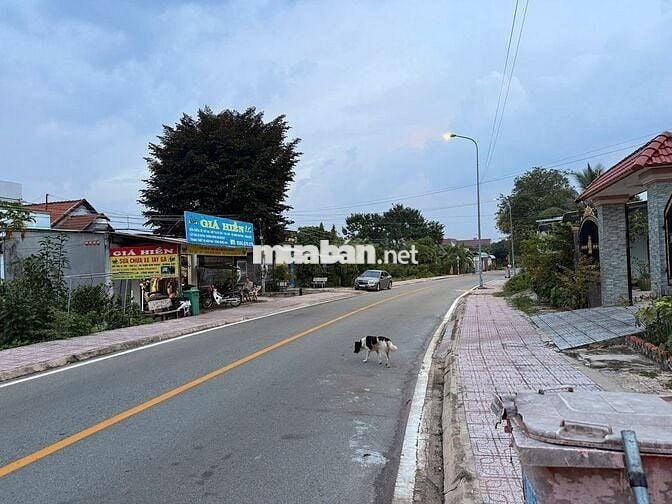 Bán Đất Mặt tiền nhựa Phan Bội Châu, Phú Giáo, Hồ Chí Minh