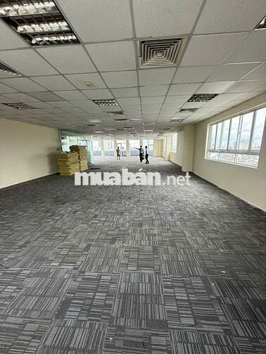 Cho thuê văn phòng Phan Xích Long, 115-250m², sàn cao cấp, giá ưu đãi.