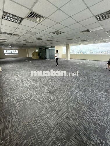 Cho thuê văn phòng Phan Xích Long, 115-250m², sàn cao cấp, giá ưu đãi.