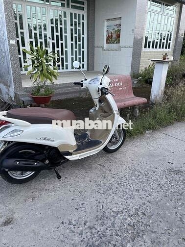 Cần Bán Nozza máy rin chính chủ