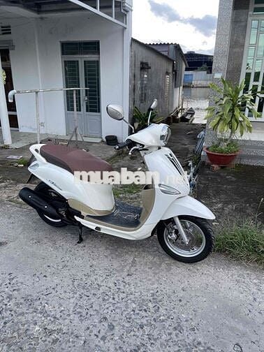 Cần Bán Nozza máy rin chính chủ