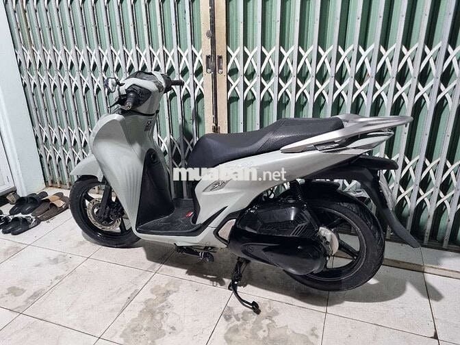 Shark up SH 2024