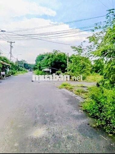 BÁN ĐẤT ĐẸP BÌNH HÒA - CHÍNH CHỦ SỔ SẴN-FULL 210m2 THỔ CƯ-KDL BỬU LONG