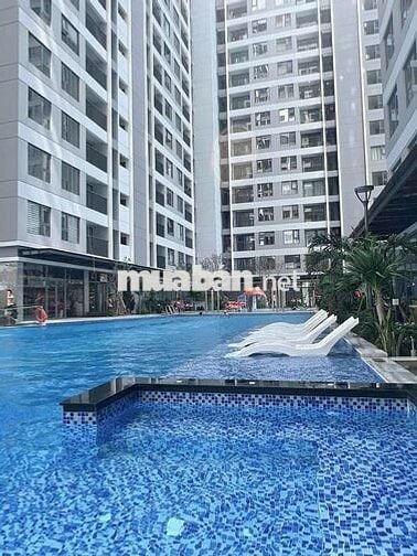 Bán gấp căn hộ  siêu hót The Rivana giá rẻ, 52m2,quốc lộ 13 Thuận An