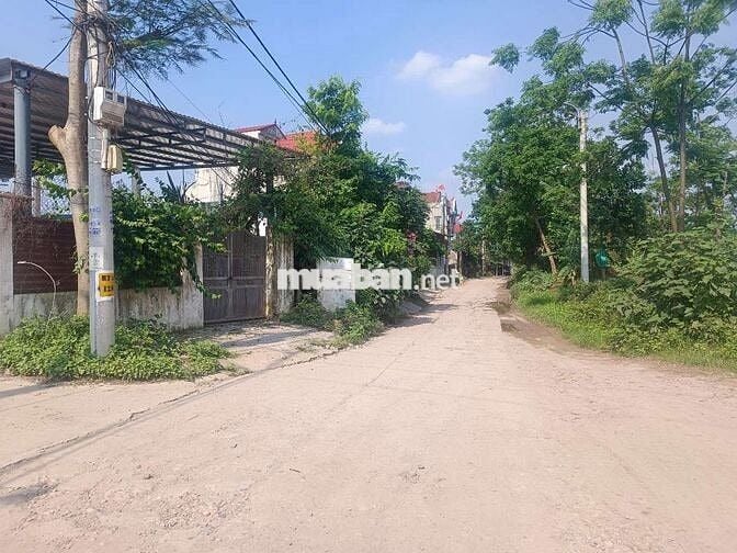 Cần thanh khoản gấp lô đất đường bến đò vườn chuối Phú Xuyên, Hà Nội