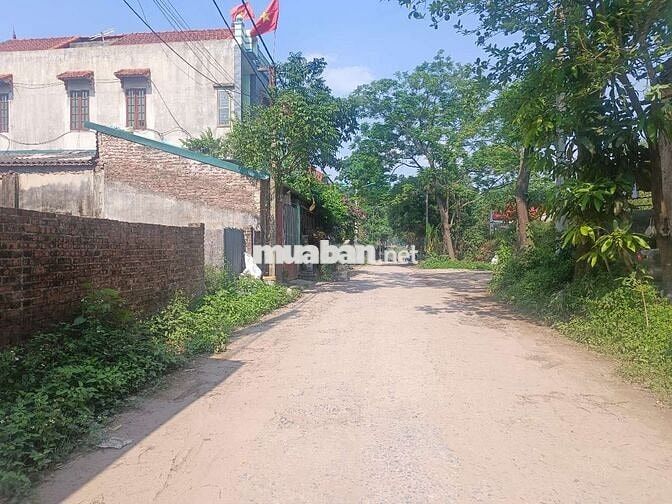 Cần thanh khoản gấp lô đất đường bến đò vườn chuối Phú Xuyên, Hà Nội