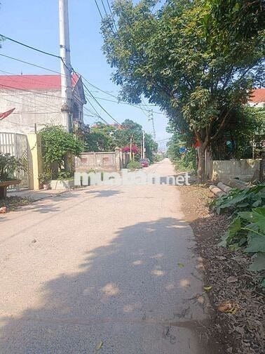 Cần thanh khoản gấp lô đất đường bến đò vườn chuối Phú Xuyên, Hà Nội