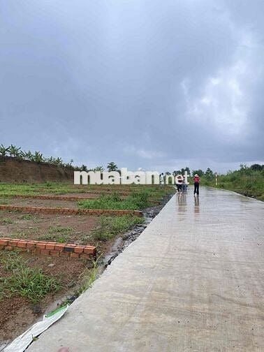 BÁN ĐẤT THỔ CƯ ĐƯỜNG BÊ TÔNG 6M SÁT CHỢ SÔNG THAO