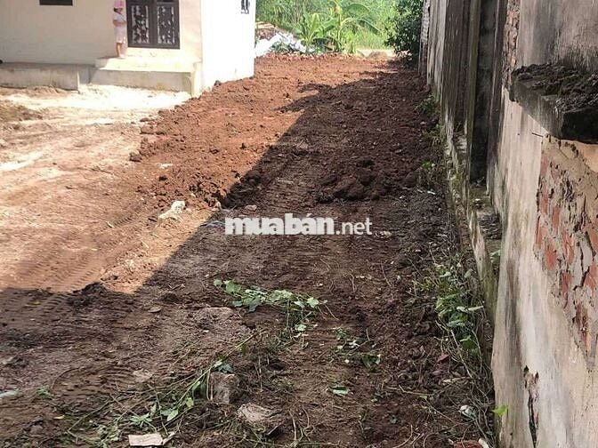 Cần thanh khoản gấp lô đất đường bến đò vườn chuối Phú Xuyên, Hà Nội
