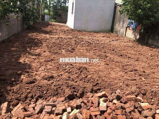 Cần thanh khoản gấp lô đất đường bến đò vườn chuối Phú Xuyên, Hà Nội