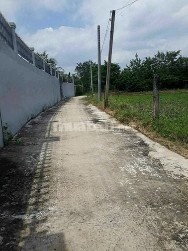 BÁN GẤP ĐẤT NỀN LONG AN GIÁ 800TRIEU - SỔ HỒNG RIÊNG