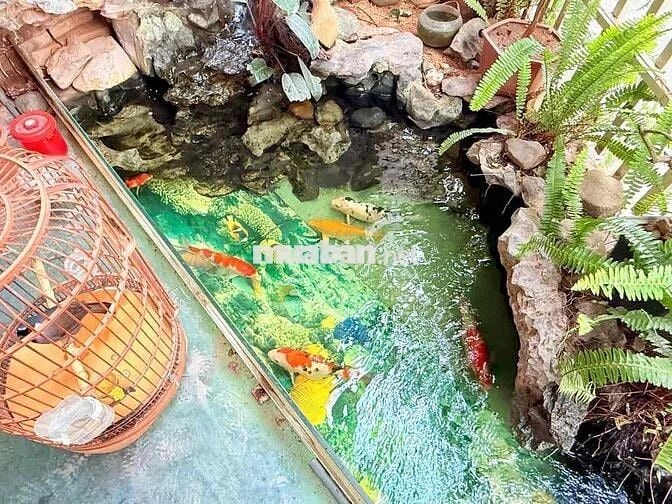 🏦 Vườn Đào – Tây Hồ | 110m² (sổ 73m²) | 6 Tầng | MT 16m |Thang máy | L