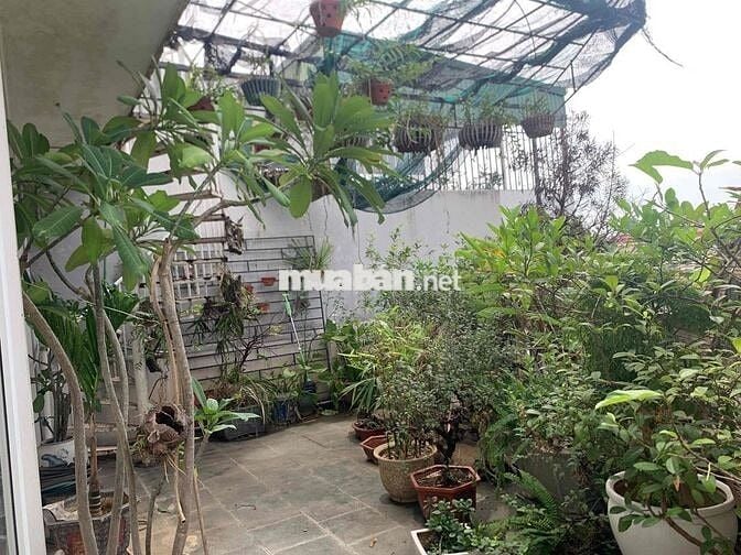 🏦 Vườn Đào – Tây Hồ | 110m² (sổ 73m²) | 6 Tầng | MT 16m |Thang máy | L
